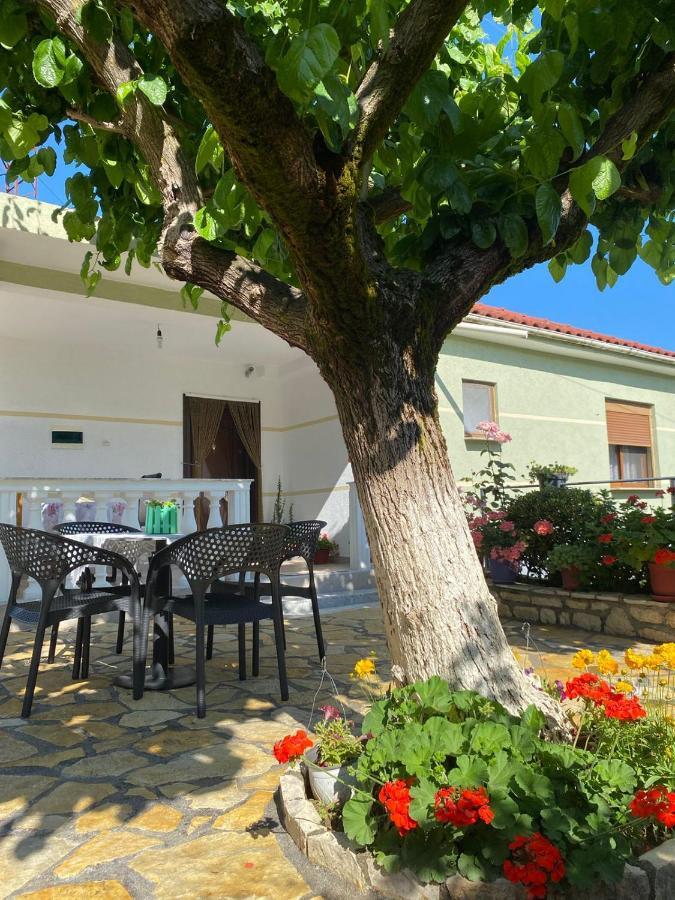 Maison d'hôtes Vjosa