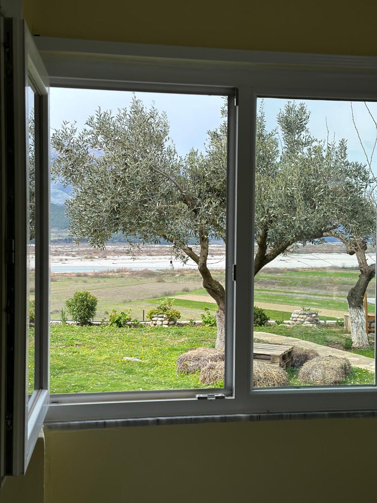 Vjosa Maison d'hôtes Memaliaj